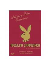 Arzular Çarpışınca - Playboy Erotik DVD Film