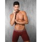 Doreanse 1782 Erkek Boxer