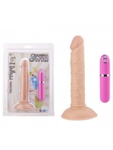 G Girl Style 15cm 6