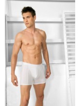 Goldenbay 1755 Erkek Boxer